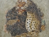 Mosaïque de la maison des masques - Musée de Délos (Cyclades) - IVème s. av JC - crédit  Olaf Tausch