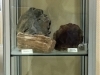Vitrine bois fossile - pièces Michel