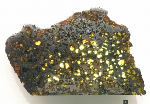 Météorite mixte (Pallasite) - Météorite 'Esquel' trouvée en 1951 en Argentine est considérée comme l'une des plus belles météorites du monde avec ses grains d'olivine sur fond de fer. Présentation sous rétro-éclairage dans l'exposition