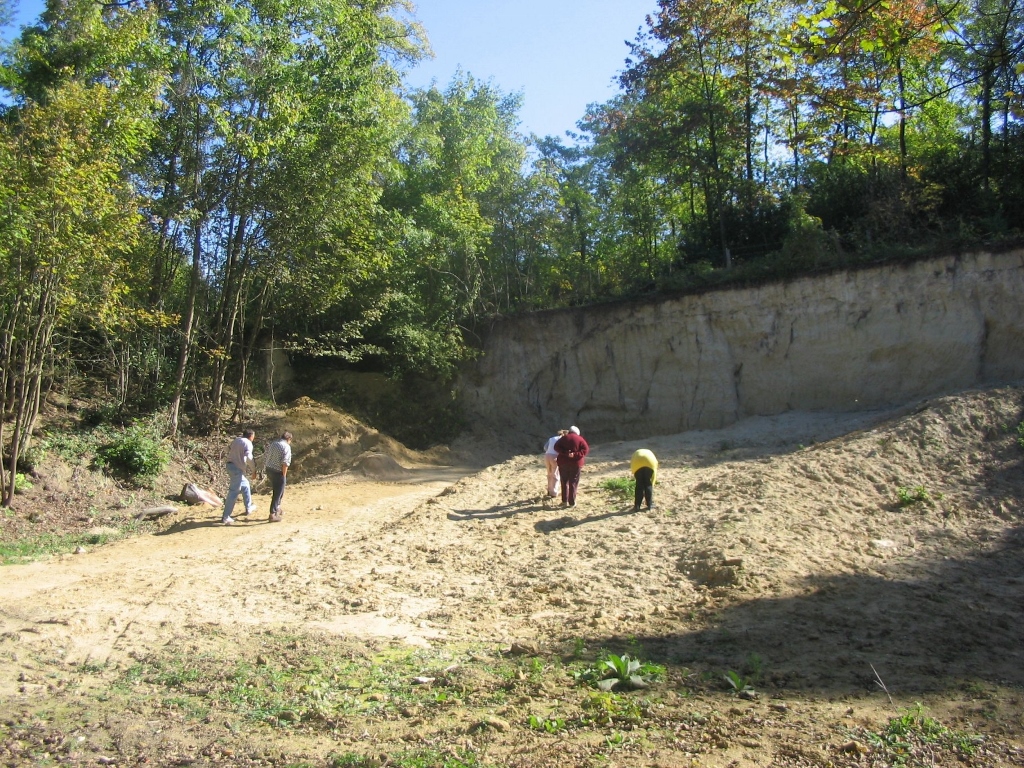La falunière de Grignon en 2007