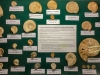 Ammonites du Bajocien Normand- Pièces de Jacques