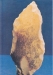 Paléolithique moyen, Limace ; bords de Loire (58)