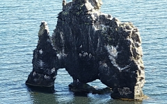 23- Un étrange reste de basalte buriné par les éléments, à Hvitserkur, au nord-est de l’île
