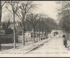 Grignon - L'avenue qui mène à l'école; le pigeonnier à gauche - 1919