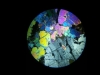 20160107_151446