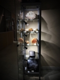 La vitrine d'exposition des bois fossiles.