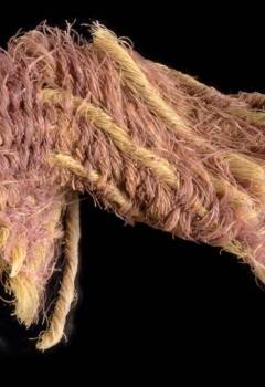Morceau de tissu teint en pourpre - Vallée de Timna (Israël) -3000 ans BP - © AFP Israeli - Antiquities
