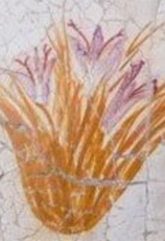 Fleur de crocus - Pigment de pourpre - détail de la fresque - Akrotiri (Santorin, Grèce) - 1600 av. J.-C. - © Yann Forget