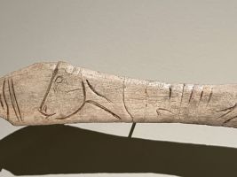 Lissoir gravé d’un boviné – provenant de l'abri de Laugerie-Basse aux Eyzies de Tayac (Dordogne) -  Epoque magdalénienne (12 000 à 14 000 ans) - MAN