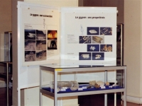Vitrine2