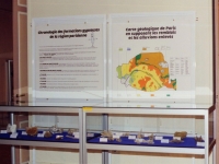 Vitrines2