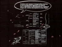 une terre des hommes 1993