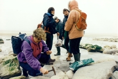 1996 Cap blanc nez