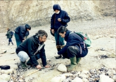 1996 Cap blanc nez