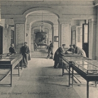 Exposition consacrée à la falunière de Grignon dans le vestibule du château. Vraisemblablement vers 1900. Carte postale datée de 1908 tirée de la photo précédente.