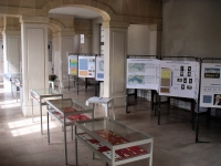 Vue partielle de l'exposition.