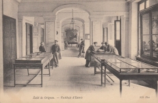 Exposition consacrée à la falunière de Grignon dans le vestibule du château. Vraisemblablement vers 1900. Photo ancienne éditée en carte postale, voir photo suivante.