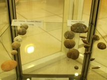 Oursins de Safi, Tafelney, Taroudant, Imouzzer (Maroc)