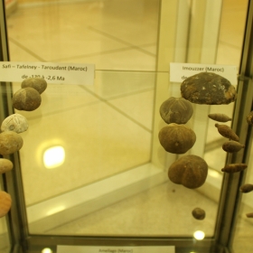 Oursins de Safi, Tafelney, Taroudant, Imouzzer (Maroc)