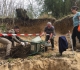 ...sous le poids d'un bloc de terre et racines