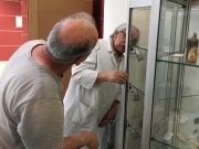 Vérification