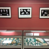 Au dessus des vitrines du Club 'Les ammonites du Bajocien normand' et 'les fossiles de Grignon', 3 tirages en N&B des planches de Delphin réalisés par Christian Brion Pdt du Club Objectif Image Paris.