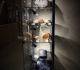 La vitrine d'exposition des bois fossiles.