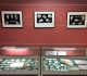Au dessus des vitrines du Club 'Les ammonites du Bajocien normand' et 'les fossiles de Grignon', 3 tirages en N&B des planches de Delphin réalisés par Christian Brion Pdt du Club Objectif Image Paris.