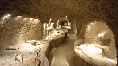 Fossiles de Cerithium giganteum in situ dans le banc à vérins - Lutétien moyen (45Ma)  - la cave aux coquillages - Anne et Patrice Legrand - Fleury la Rivière (51) - Photo Hélène Clouté