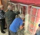 19 04 2022 début de l'installation de la collection de Jacques Géraud
