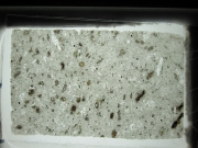 Lame mince de roche volcanique (trachyte à hornblende)..