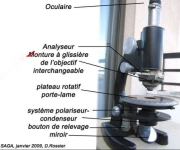 Microscope pour observation de lames minces en pétrographie