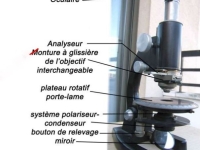 Microscope pour observation de lames minces en pétrographie