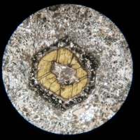 Détail au microscope de cette lame : un cristal de hornblende entouré d’une couronne réactionnelle d’altération (en lumière polarisée non analysée).