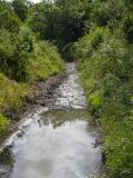 L\'effluent de la source - CEN d\'Auvergne