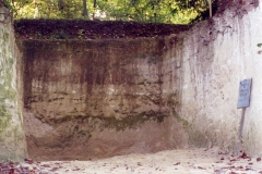 13- 1992 La fouille