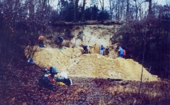 15- Janvier 1994 La foule des habitués dans la falunière