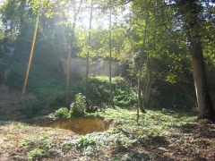 49- 2006 Fouille et trou du milieu