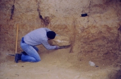 1998 - Didier et un cérithe géant en place