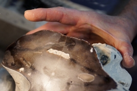 Opération de coupe d'un silex avec oursin (conulus)