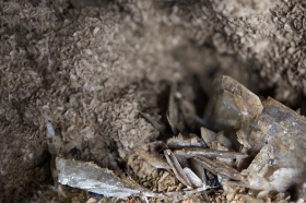 Baryte - Aveyron