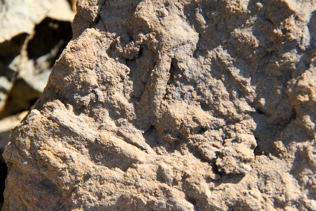Bioturbations in situ - Photo Aude