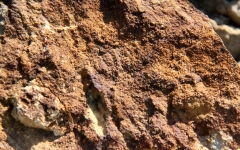 Zone indurée et riche en oxydes de fer dans l'Aalénien - Photo Aude