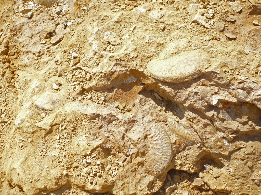 Plateau de Leioceras. Photo Christian R.