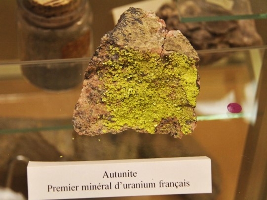 Museum Autun - Autunite