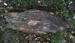 06-15 Micaschistes et gneiss, au-dessus de Castelnau-Pégayrols