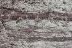 06-16 Marnes Rhétiennes près de Moulibez (Rhétien : Trias,  environ-205 MA)