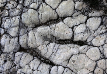 06-19 Saint Léons, site (BA2) à empreintes de dinosaures, Grallator minusculus, Hettangien.