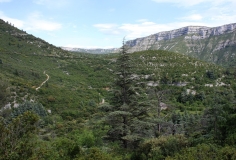 10-20 Après Navacelles, randonnée depuis la route de Blandas vers la résurgence de la Vis (Foux de la Vis), en amont de Navacelles.