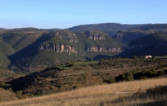 07-02 Causse Noir et massif de l’Aigoual